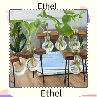 Ethel1 แจกันไม้ไฮโดรโปนิก สําหรับปลูกต้นไม้ ตกแต่งบ้าน