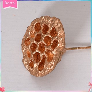 [Dottam] ดอกบัวประดิษฐ์ ดอกบัวแห้ง ธรรมชาติ DIY สําหรับตกแต่งงานแต่งงาน