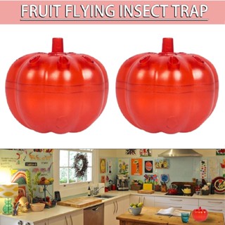 Fruit Fly Trap Fly Catcher Gnat Trap for Indoor Home Kitchen Pest Control Killer