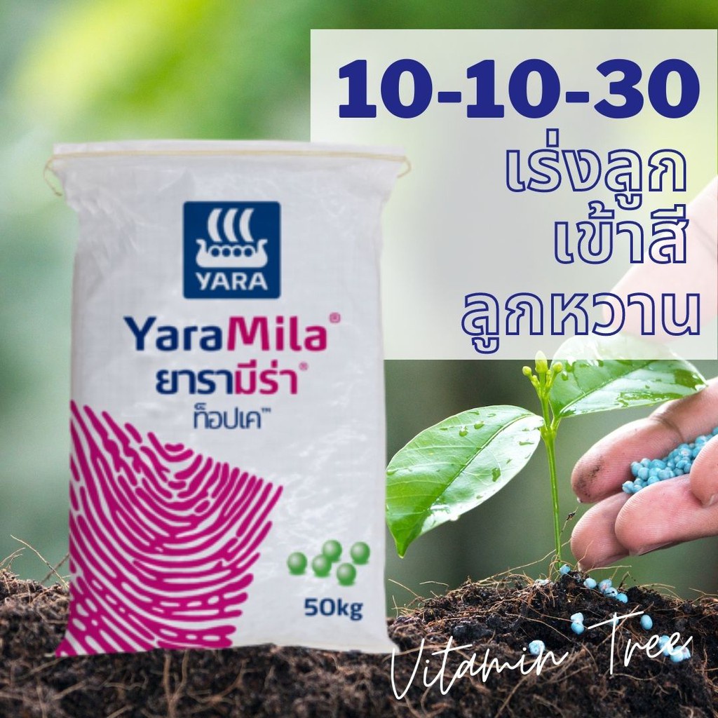 ยารามีร่าท็อปเค 10-10-30 50กก. ปุ๋ย เร่งลูก ลูกใหญ่ ลูกดก เพิ่มขนาด เพิ่มน้ำหนัก สีสวย รสชาติดี