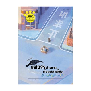 นายอินทร์ หนังสือ จริง ๆ แล้วแมวจรต่างหากเก็บผมมาเลี้ยง
