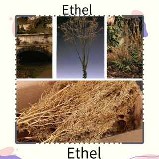 Ethel1 หญ้าจําลอง แฮนด์เมด ไมโคร สําหรับตกแต่งสวน โต๊ะทราย