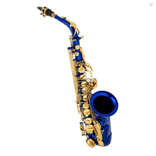 Audioworld Eb Alto Saxophone Brass E Flat Sax 802 Key Type Woodwind Instrument พร้อมก้านทําความสะอาด ถุงมือผ้า สายคล้อง เบาะเคส