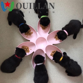 Quillan ชามให้อาหารสัตว์เลี้ยง แบบสร้างสรรค์ 6 In 1 สําหรับแมว ลูกสุนัข อาหารลดน้ําหนัก กินอุปกรณ์สัตว์เลี้ยง