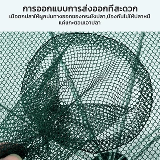 ที่ดักปลา ดักกุ้ง ที่ดักกุ้ง 4 6 8 ช่อง มุ้งดักปลา มุ้งดักกุ้ง ที่ดักกุ้งฝอย ตาข่ายดักปลา