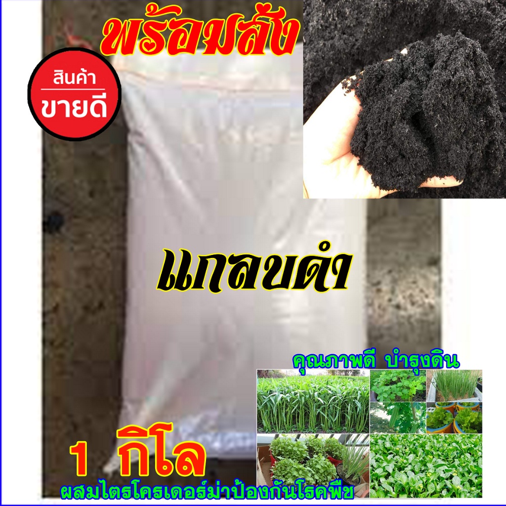 แกลบดำ 1โล แบบแห้งเบาได้เยอะมาก คุณภาพดี ส่งทุกวัน ใช้ผสมดินเพาะปลูก