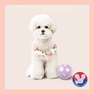 [OHELLA]Dog Automatic Rolling Ball Toy PP02