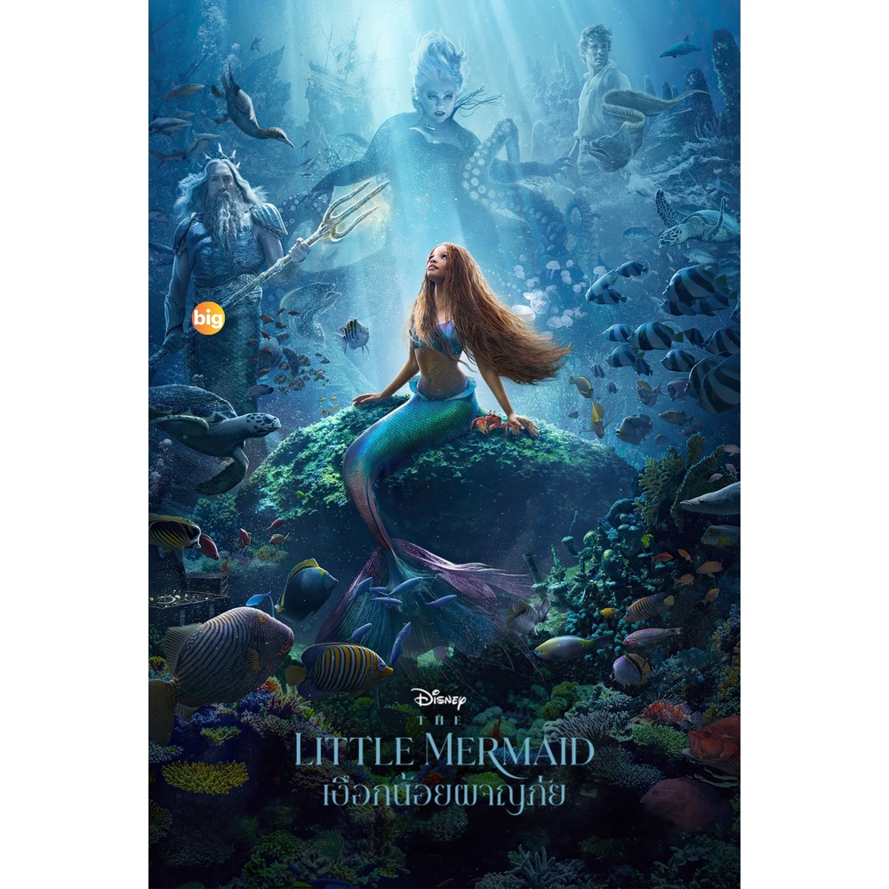 แผ่น DVD หนังใหม่ (Zoom ซูม) The Little Mermaid (2023) เงือกน้อยผจญภัย (เสียง ไทย(โรง) | ซับ ไม่มี) 