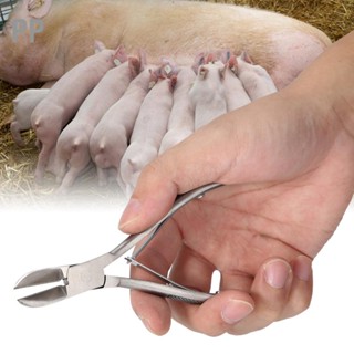 PP กรรไกรตัดฟันสแตนเลสสำหรับสุนัข Piglet Elbow Clipper Forceps with Pig Catcher