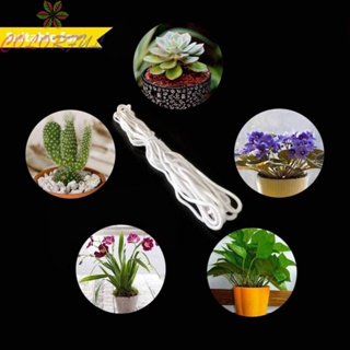 【COLORFUL】Self Watering  Rope Water-Absorbing Cotton Cord  Flower Pot Replacement