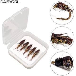 【DAISY Fishing】Hook 5 Pcs Accessory Lure Nymph Shape Part Replacement Steel + Feather