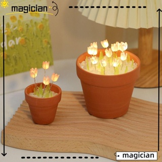 Mag โคมไฟตั้งโต๊ะ LED รูปดอกทิวลิป 3D ขนาดเล็ก แฮนด์เมด DIY สําหรับตกแต่งห้องนั่งเล่น