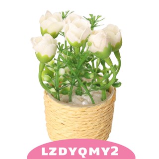 [Lzdyqmy2] โมเดลกระถางต้นไม้ ดอกไม้ 1/6 สําหรับตกแต่งบ้านตุ๊กตา