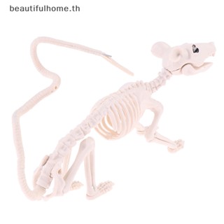 ｛Halloween Decor｝กระดูกพลาสติก สําหรับตกแต่งฮาโลวีน