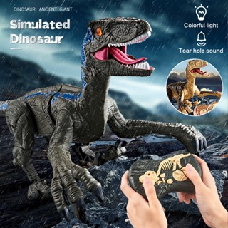 Remote Control Dinosaur RC Toys LED Light Up Walking Simulation Dragon