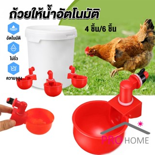 Prohome ถ้วยให้น้ำอัตโนมัติ สำหรับไก่ 4 ชิ้น 6 ชิ้น Automatic drinker