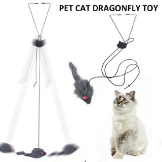 New Cat Kitty Teaser Toys Retractable Door Hanging Mouse Interactive Cat Toys