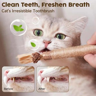  6PCS Wooden Polygonum Cat Mint Cat Toy Teeth Grinding Stick with Cat Mint Fragrance Cleaning Cat Teeth Pet Toy