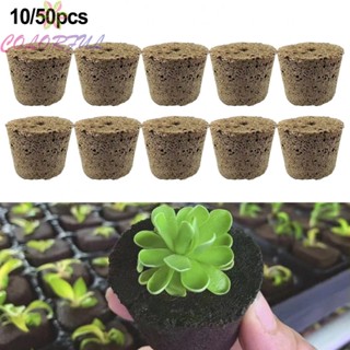 【COLORFUL】Grow Sponges 10/50PCS For Hydroponic System Garden Supplies Growing Sponge