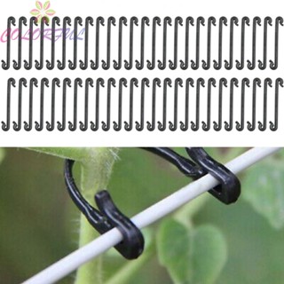 【COLORFUL】Garden Clip Flower Garden Supply Trellis For Garden Plant Twine Vegetable Binder