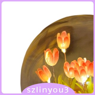 [Szlinyou3] โคมไฟกลางคืน LED DIY สําหรับห้องนอน หอพัก ครบรอบ