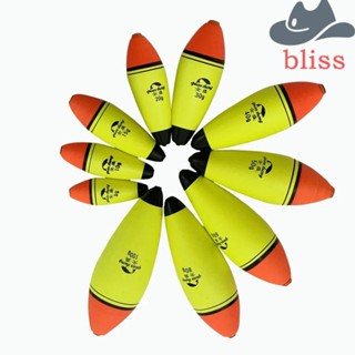 Bliss ทุ่นลอยน้ําโฟม 8 กรัม-200 กรัม อุปกรณ์เสริม สําหรับตกปลาทะเล