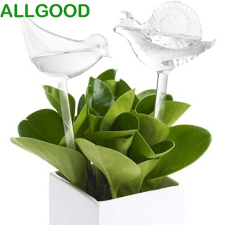 Allgoods ที่รดน้ําต้นไม้|อุปกรณ์ให้อาหารนก แบบใส สําหรับเรือนกระจก