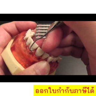 ที่ขูดหินปูนด้วยตัวเอง (มาตรฐานทางทันตกรรม)