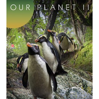 Bluray Our Planet (2023) Season 2 (ภาพ HDR) (เสียง Eng | ซับ Eng/ไทย) หนัง บลูเรย์