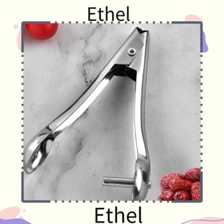 Ethel1 อุปกรณ์เจาะแกนเชอร์รี่ สเตนเลส อเนกประสงค์ ประหยัดแรงงาน ทนทาน สีเงิน สําหรับพุทรา มะกอก 2 ชิ้น