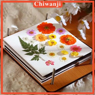 [Chiwanji] อุปกรณ์กด งานฝีมือ สําหรับเด็ก และผู้ใหญ่