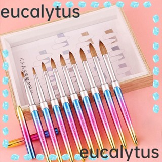 Eucalytus1 แปรงแต่งเล็บ มืออาชีพ พร้อมฝาปิด ด้ามจับคริสตัล สีรุ้ง สําหรับร้านเสริมสวย DIY