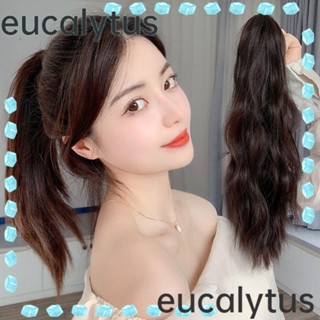 Eucalytus1 วิกผมหางม้าสังเคราะห์ แบบยาว หยิกได้