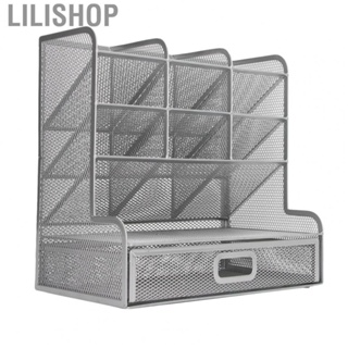Lilishop Mesh Pen Organizer  Mesh Desk Organizer Iron Mesh Silver  for Rulers for Markers