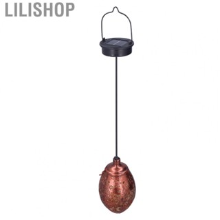 Lilishop Solar Lantern IP65  Plastic Iron Material Hanging Design Insect HB