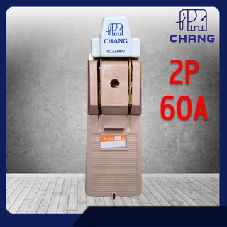 CHANG คัทเอาท์ ช้าง 2P 30A / 60A / 100A 600V พร้อมฟิวส์ในกล่อง