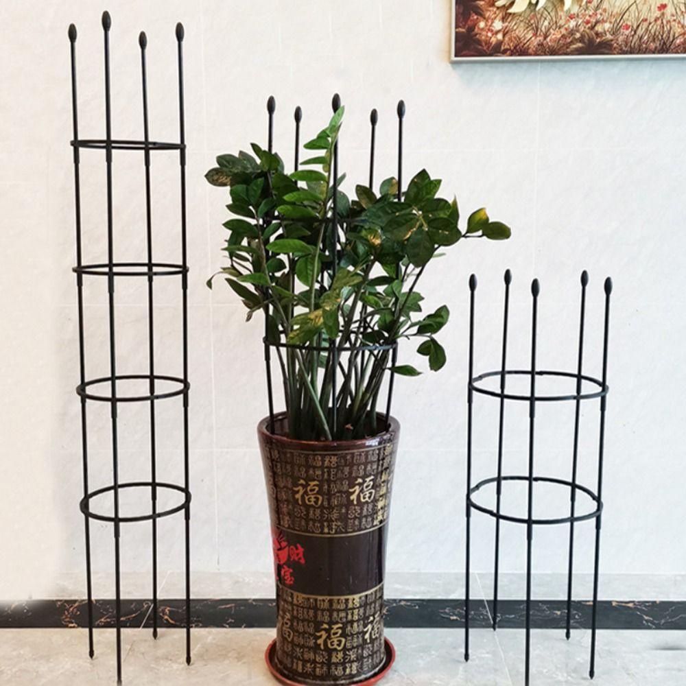 PERF Garden Trellis รูปที่ 3