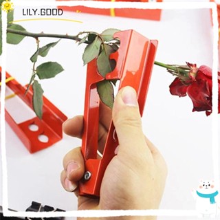 LILY คลิปโลหะ สําหรับกําจัดหนามใบไม้ DIY