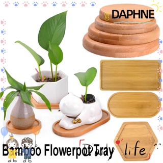 Daphne ถาดไม้ไผ่ ทรงกลม ทรงสี่เหลี่ยม สําหรับตกแต่งบ้าน สวนบอนไซ