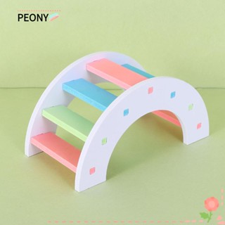 PEONY Hamster Accessories Rainbow Bridge Small Animal Pet Sport Exercise Toys Set Hamsters House Hedgehog Wooden Exercise Play Toys Swing Gerbil