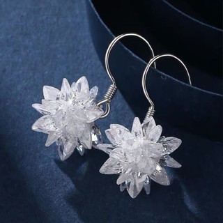 New Crystal Ice Snowflake Drop Hook Earrings S999 Silver Women Christmas Gift