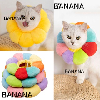 Banana1 ปลอกคอ ทรงกรวย ขนาดเล็ก น่ารัก สําหรับสัตว์เลี้ยง สุนัข แมว