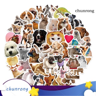 Chunrong สติกเกอร์ PVC กันน้ํา ลายสัตว์ แมว กระต่าย นกน่ารัก ใช้ซ้ําได้ สําหรับติดตกแต่งโทรศัพท์มือถือ กระเป๋าเดินทาง แล็ปท็อป กีตาร์ 52 ชิ้น