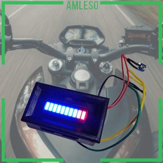 [Amleso] เครื่องวัดระดับน้ํามันเชื้อเพลิง จอแสดงผล LED สําหรับรถยนต์ รถจักรยานยนต์