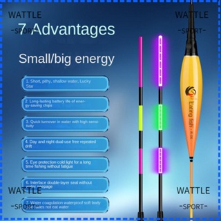 Wattle ทุ่นลอยน้ําอิเล็กทรอนิกส์ 2 หลอด สําหรับตกปลา ทุ่นลอยน้ํา สําหรับตกปลากลางคืน