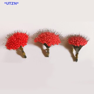 Utzn&gt; ยางลอยน้ํา แบบใส อุปกรณ์เสริม สําหรับตกปลา 300 ชิ้น ต่อล็อต