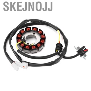 Skejnojj Magneto Stator  Favorable Full Functioning  for Activity