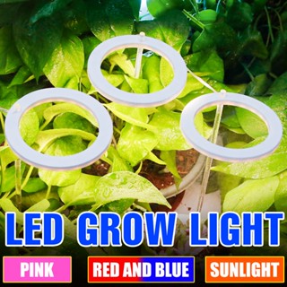 โคมไฟสเปกตรัม Led 5V แบบเต็ม สําหรับปลูกพืชไฮโดรโปนิกส์ ปลูกพืชในร่ม เรือนกระจก