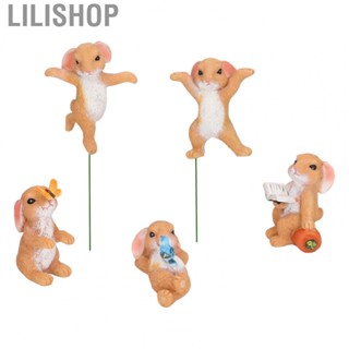 Lilishop Bunny Figurines  Resin Material Garden Bunny Figurines  for Backyard