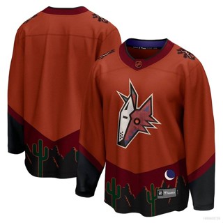 เสื้อกีฬาแขนยาว ลายทีม Ani NHL Arizona Coyote Jersey Hockey พลัสไซซ์